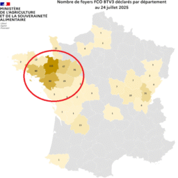FCO MHE et DNC : point de situation